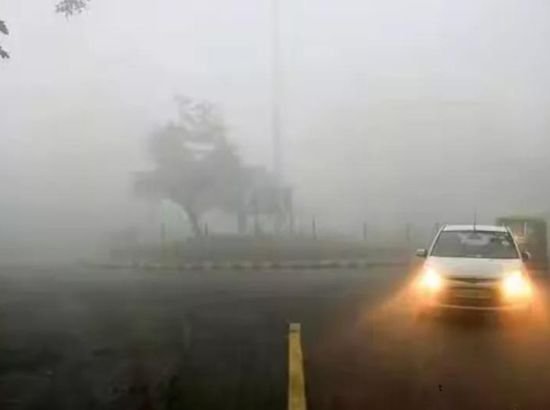 Read This News Before Leaving Home, Zero Visibility In 15 States Due To Fog